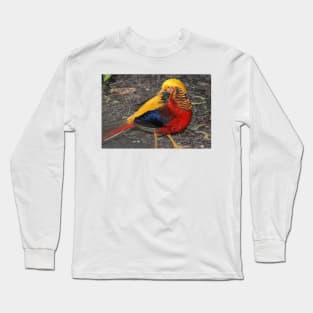 Bird Of Many Colors Long Sleeve T-Shirt